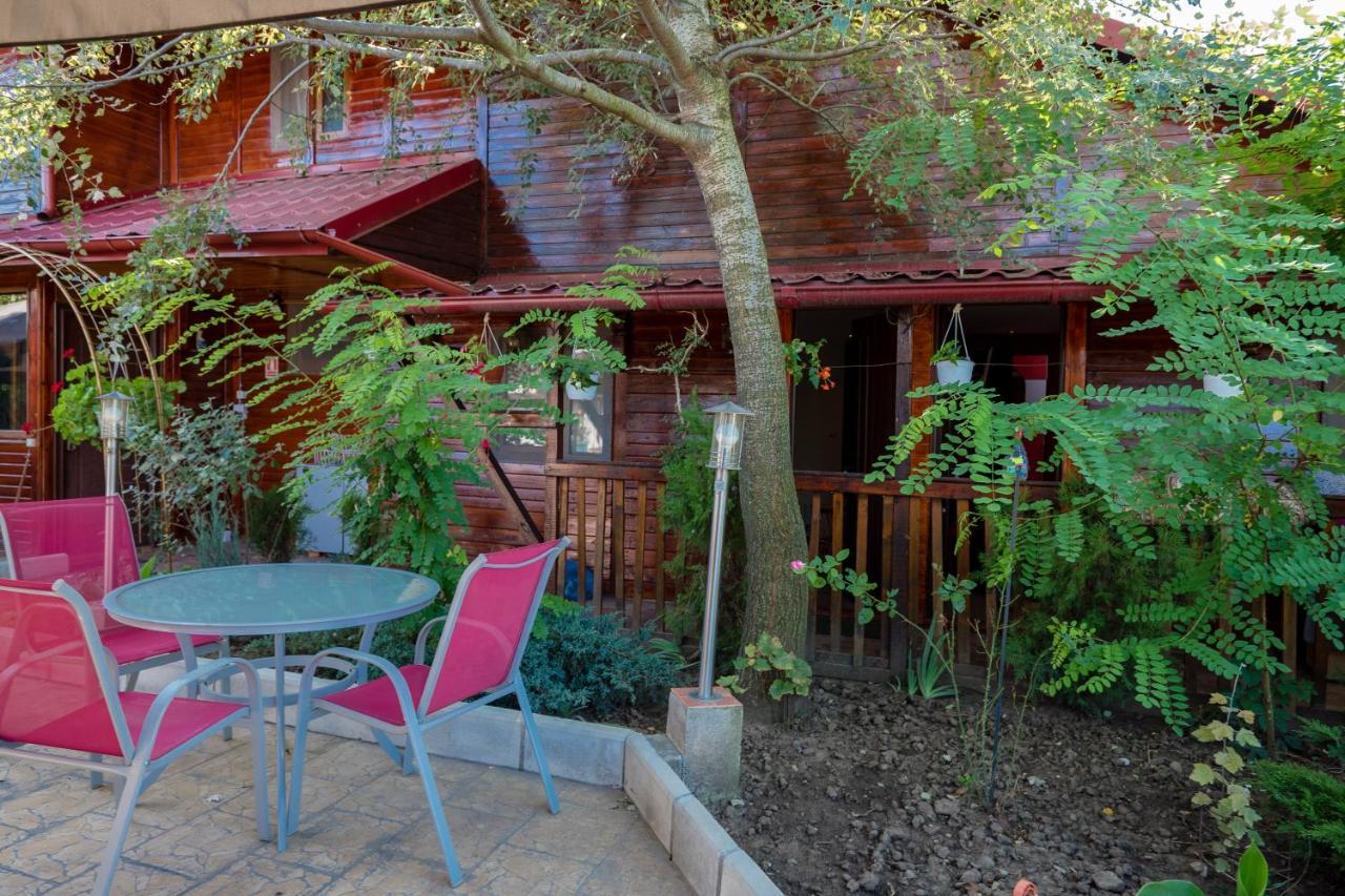 Pension Motanul Galanton Snagov Exterior photo
