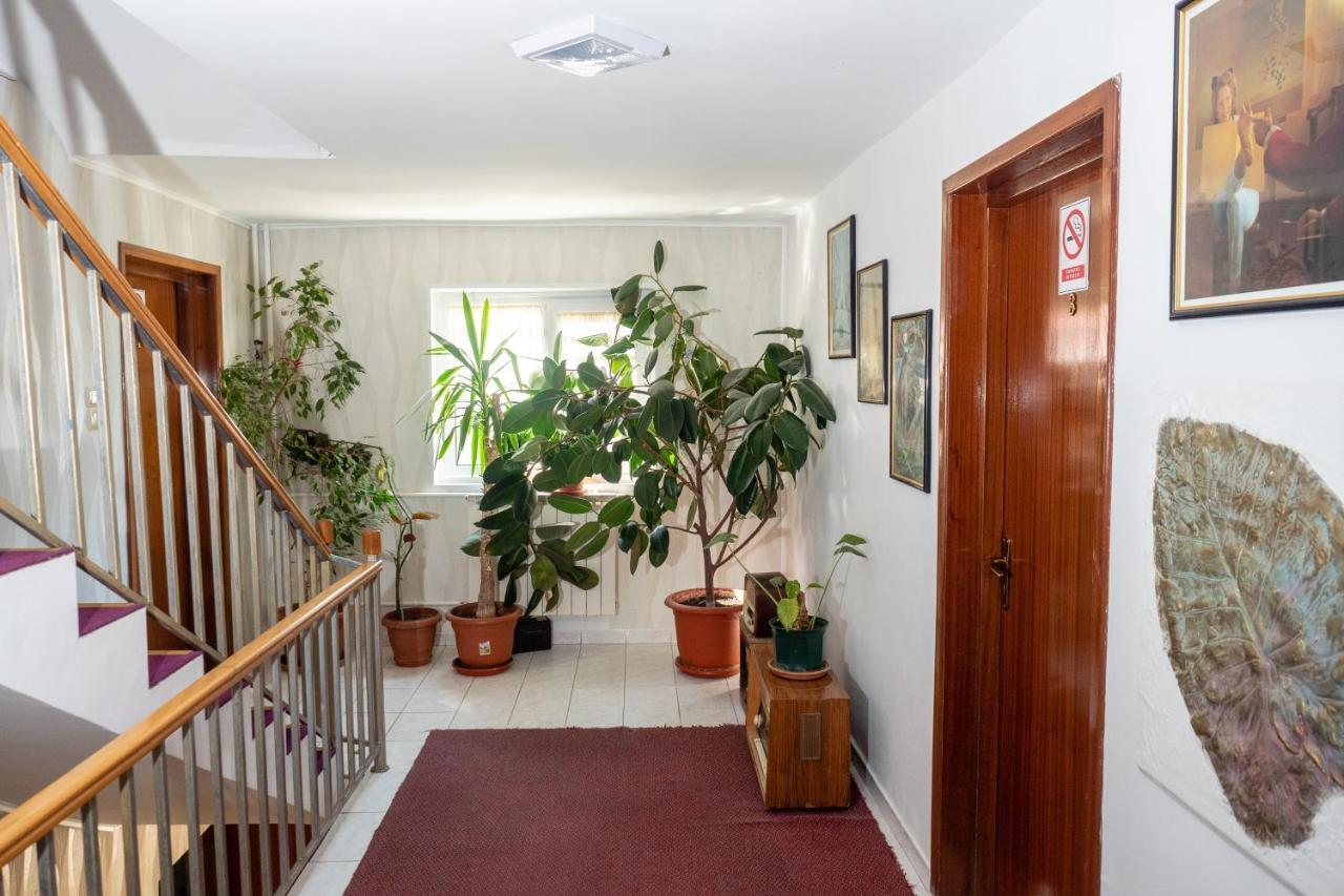 Pension Motanul Galanton Snagov Exterior photo